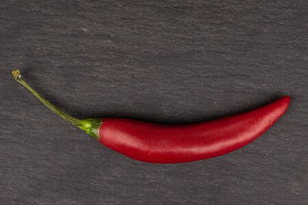 One whole hot red chili cayenne flatlay on grey stone