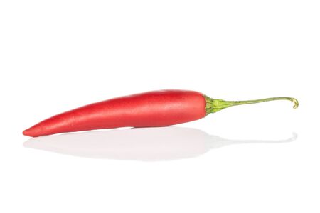 One whole hot red chili cayenne isolated on white background