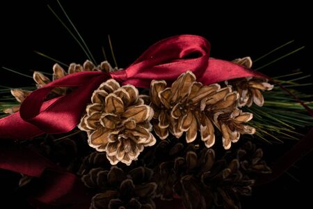 Group of four whole forest brown pine cone with red ribbon isolated on black glassの写真素材