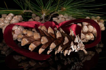 Group of five whole forest brown pine cone with red ribbon isolated on black glassの写真素材