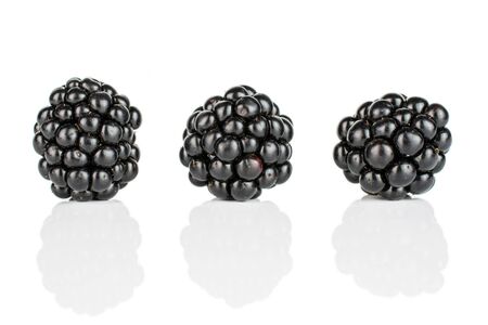 Group of three whole fresh black blackberry in row isolated on white backgroundの写真素材