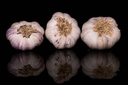 Group of three whole aromatic white garlic isolated on black glassの写真素材