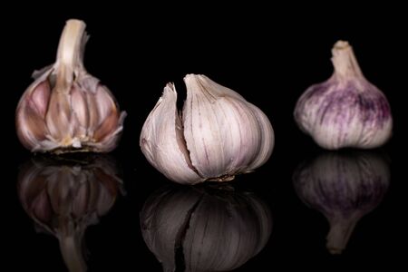 Group of three whole aromatic white garlic isolated on black glassの写真素材