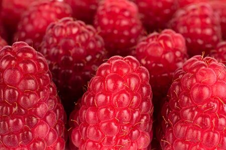 Lot of whole fresh red raspberry in close upの写真素材