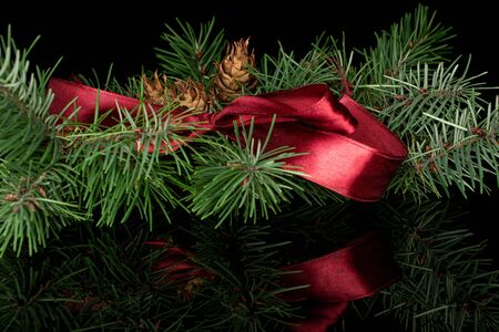 Lot of whole christmas green branch spruce with red ribbon isolated on black glassの写真素材