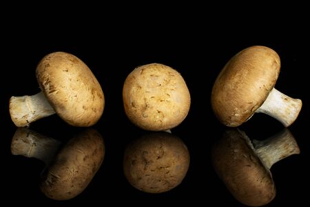 Group of three whole fresh brown champignon isolated on black glassの写真素材