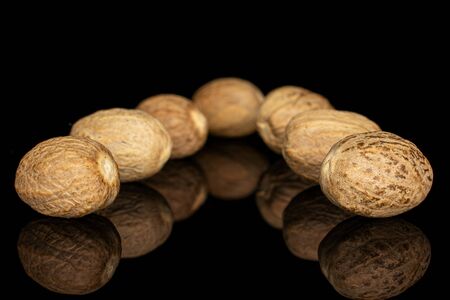 Group of seven whole dry brown nutmeg isolated on black glass