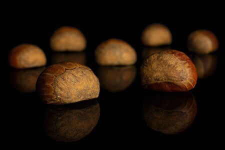Group of seven whole sweet brown chestnut isolated on black glass