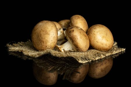 Group of five whole fresh brown champignon on natural sackcloth isolated on black glassの写真素材