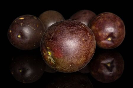 Group of five whole sweet dark purple passion fruit isolated on black glassの写真素材
