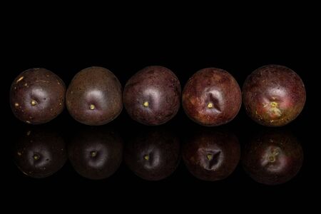 Group of five whole sweet dark purple passion fruit in line isolated on black glassの写真素材
