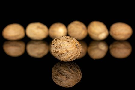 Group of seven whole dry brown nutmeg one is in the front isolated on black glassの写真素材