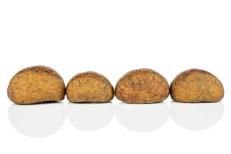 Group of four whole sweet brown chestnut isolated on white background