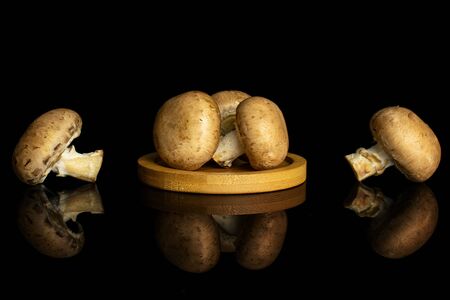 Group of five whole fresh brown champignon on bamboo coaster isolated on black glassの写真素材