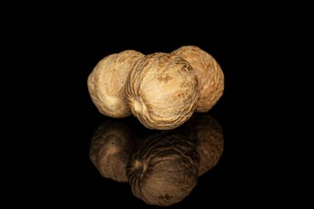 Group of three whole dry brown nutmeg isolated on black glassの写真素材