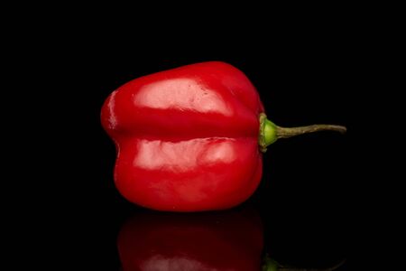 One whole hot chili															 habanero isolated on black glassの写真素材