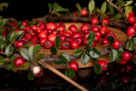 Lot of whole wild red rowanberry on round bamboo coaster isolated on black glassの写真素材