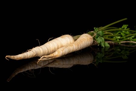 Group of two whole hamburg white parsley root isolated on black glassの写真素材