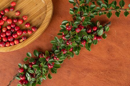 Lot of whole arranged wild red rowanberry on round bamboo coaster flatlay on cognac leather