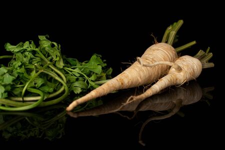 Group of two whole hamburg white parsley root with leaves isolated on black glassの写真素材