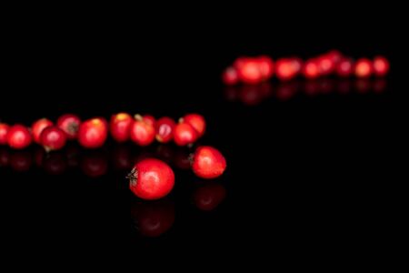 Lot of whole wild red rowanberry front focus isolated on black glassの写真素材