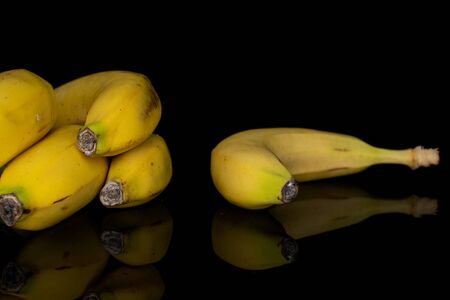 Group of five whole sweet yellow banana isolated on black glassの写真素材