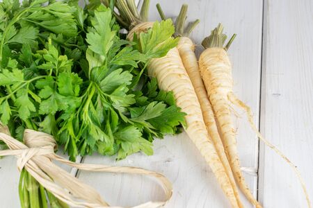 Group of three whole hamburg white parsley root with straw rope on white woodの写真素材