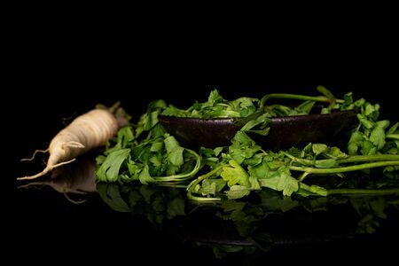 One whole hamburg white parsley root in glazed bowl isolated on black glassの写真素材