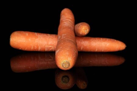Group of three whole fresh orange carrot isolated on black glassの写真素材