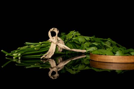 Lot of whole lot of pieces of fresh green parsley with straw rope on round bamboo coaster isolated on black glassの写真素材
