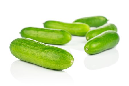 Group of six whole fresh green baby cucumber isolated on white backgroundの写真素材