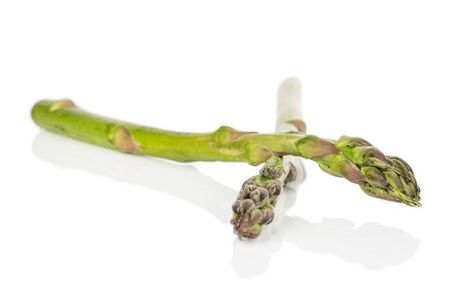 Group of two whole healthy green asparagus isolated on white backgroundの写真素材