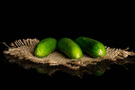 Group of three whole fresh green baby cucumber on natural sackcloth isolated on black glass