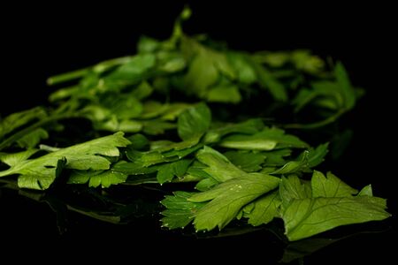 Lot of whole lot of pieces of fresh green parsley isolated on black glassの写真素材