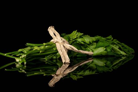 Lot of whole fresh green parsley with straw rope isolated on black glassの写真素材