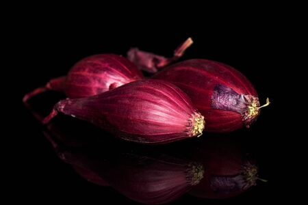 Group of three whole small red onion bulb isolated on black glass
