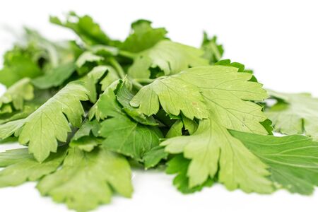 Lot of whole fresh green parsley isolated on white backgroundの写真素材