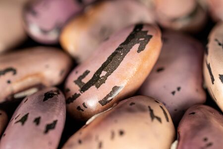 Lot of whole fresh speckled bean pinto closeup isolatedの写真素材
