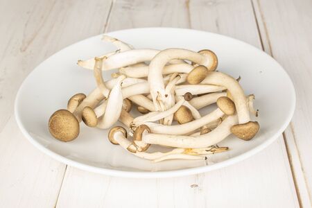 Lot of whole shimeji brown mushroom on white ceramic plate on white wood