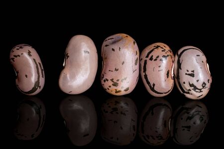 Group of five whole fresh speckled bean pinto isolated on black glass