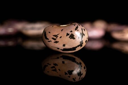 One whole fresh speckled bean pinto in focus isolated on black glassの写真素材