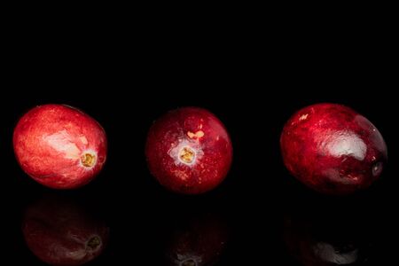 Group of three whole fresh red cranberry isolated on black glass