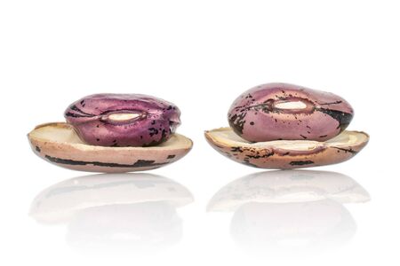 Group of two whole two halves of fresh speckled bean pinto isolated on white background
