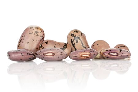 Lot of whole natural fresh speckled bean pinto isolated on white background