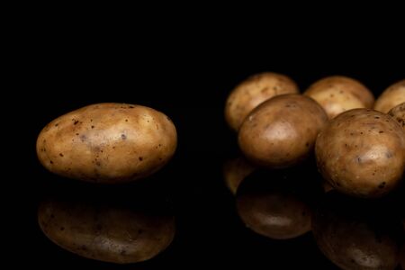 Group of six whole tiramisu brown almond nut isolated on black glassの写真素材