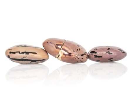 Group of three whole fresh speckled bean pinto isolated on white background