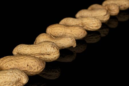 Group of nine whole tasty beige peanut diagonal isolated on black glassの写真素材