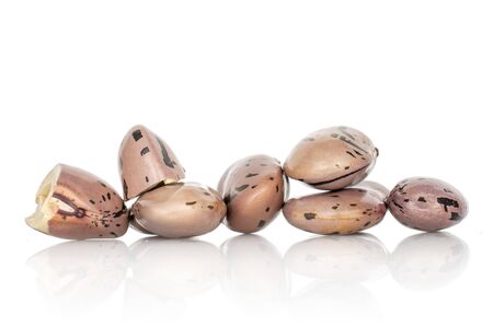 Lot of whole one half of fresh speckled bean pinto isolated on white background