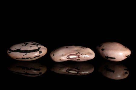 Group of three whole fresh speckled bean pinto isolated on black glassの写真素材