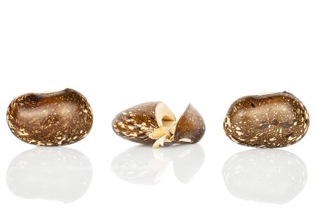 Group of two whole two halves of speckled brown bean pinto isolated on white backgroundの写真素材